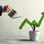 Stratégie croissance interne
